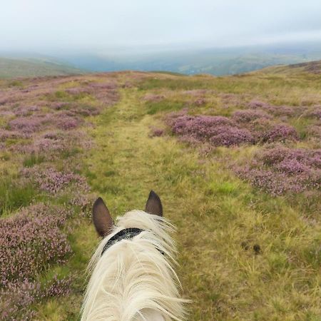Отель Pentre Riding Stables Abercraf Экстерьер фото