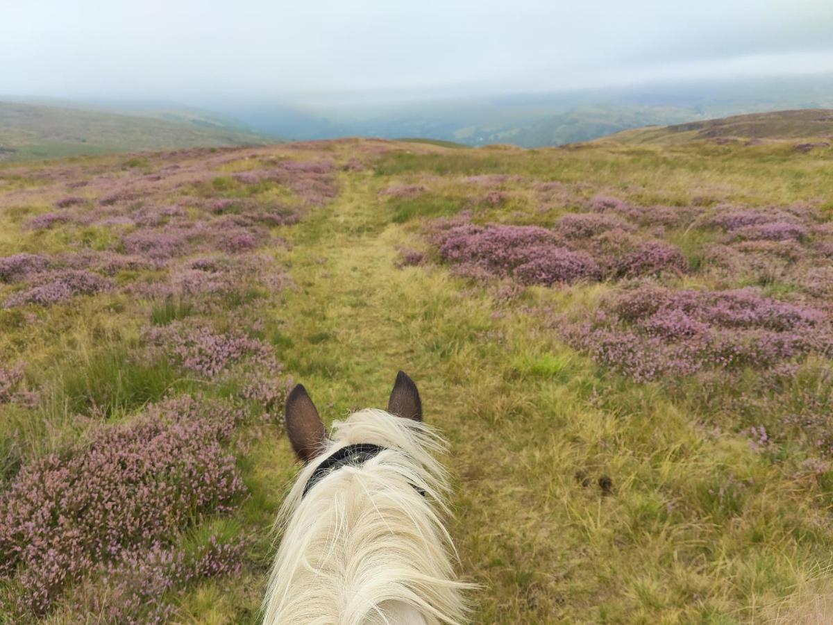 Отель Pentre Riding Stables Abercraf Экстерьер фото