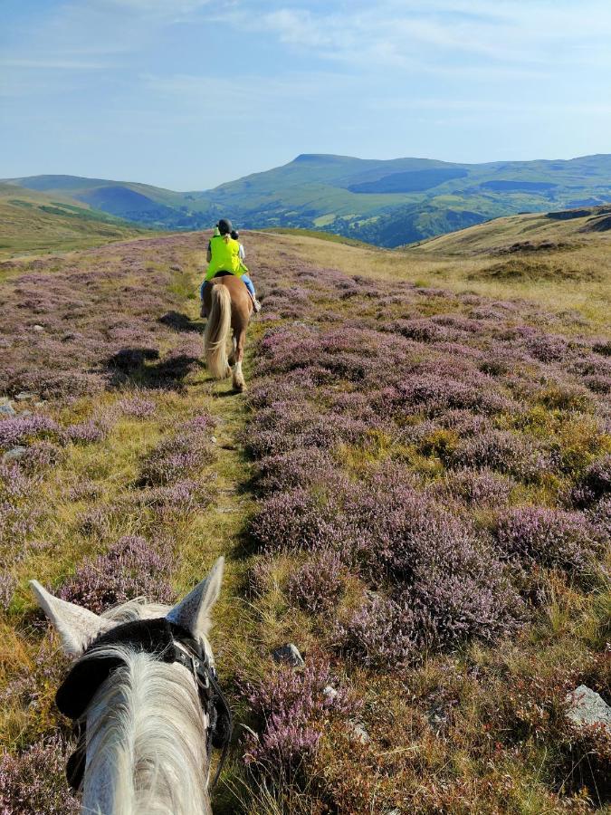Отель Pentre Riding Stables Abercraf Экстерьер фото