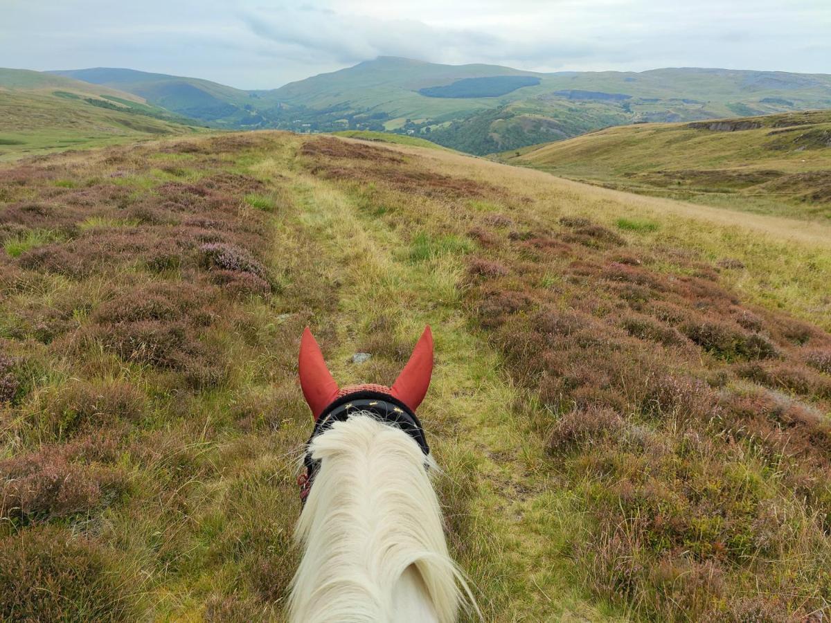 Отель Pentre Riding Stables Abercraf Экстерьер фото